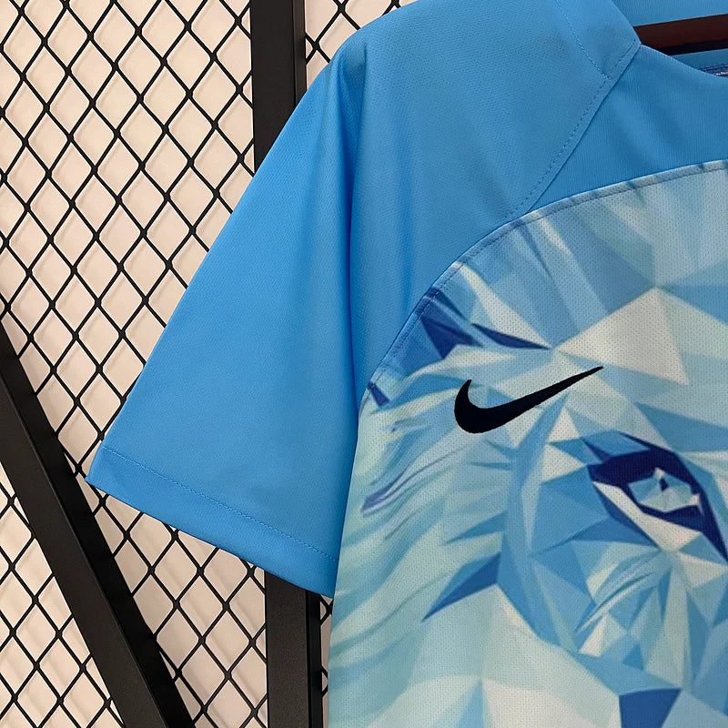 Maillot concept Pays-bas